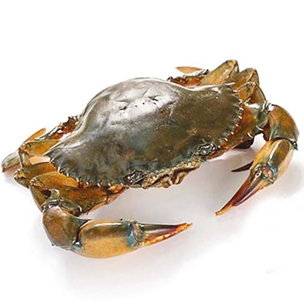 Crab